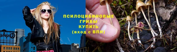 гашик Елабуга